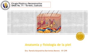 Anatomía y fisiología de la piel
Dra. Pamela Alejandrina Barrientos Moreno – R1 CPR
 