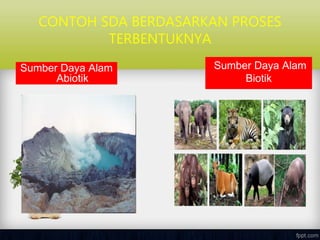 CONTOH SDA BERDASARKAN PROSES
TERBENTUKNYA
Sumber Daya Alam
Abiotik
Sumber Daya Alam
Biotik
 