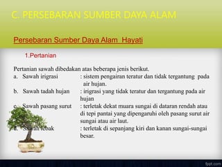 Persebaran Sumber Daya Alam Hayati
1.Pertanian
Pertanian sawah dibedakan atas beberapa jenis berikut.
a. Sawah irigrasi : sistem pengairan teratur dan tidak tergantung pada
air hujan.
b. Sawah tadah hujan : irigrasi yang tidak teratur dan tergantung pada air
hujan
c. Sawah pasang surut : terletak dekat muara sungai di dataran rendah atau
di tepi pantai yang dipengaruhi oleh pasang surut air
sungai atau air laut.
d. Sawah lebak : terletak di sepanjang kiri dan kanan sungai-sungai
besar.
C. PERSEBARAN SUMBER DAYA ALAM
 