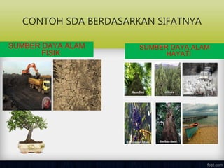 CONTOH SDA BERDASARKAN SIFATNYA
SUMBER DAYA ALAM
FISIK
SUMBER DAYA ALAM
HAYATI
 