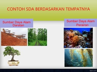 CONTOH SDA BERDASARKAN TEMPATNYA
Sumber Daya Alam
Daratan
Sumber Daya Alam
Perairan
 