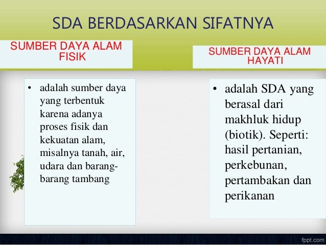 Ppt azir