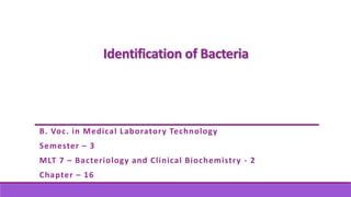 Identification of Bacteria
B. Voc. in Medical Laboratory Technology
Semester – 3
MLT 7 – Bacteriology and Clinical Biochemistry - 2
Chapter – 16
 