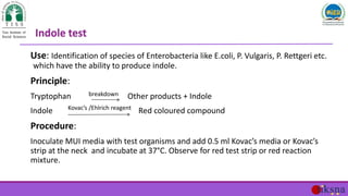 Use: Identification of species of Enterobacteria like E.coli, P. Vulgaris, P. Rettgeri etc.
which have the ability to prod...