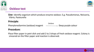 Use: Identify organism which produce enzyme oxidase. E.g. Pseudomonas, Neisseria,
Vibrio, Pasteurella
Principle:
Phenylene...