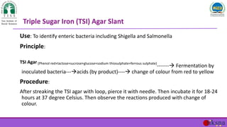 Use: To identify enteric bacteria including Shigella and Salmonella
Principle:
TSI Agar (Phenol red+lactose+sucrose+glucos...