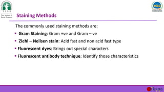 The commonly used staining methods are:
 Gram Staining: Gram +ve and Gram – ve
 Ziehl – Neilsen stain: Acid fast and non...