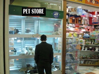 Ppt b07 unit 7 lesson a 1