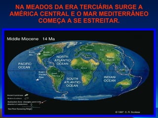 NA MEADOS DA ERA TERCIÁRIA SURGE A AMÉRICA CENTRAL E O MAR MEDITERRÂNEO COMEÇA A SE ESTREITAR. 