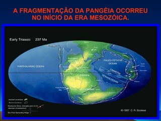 A FRAGMENTAÇÃO DA PANGÉIA OCORREU NO INÍCIO DA ERA MESOZÓICA. 