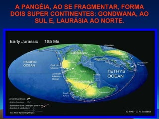 A PANGÉIA, AO SE FRAGMENTAR, FORMA DOIS SUPER CONTINENTES: GONDWANA, AO SUL E, LAURÁSIA AO NORTE. 