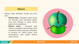 PPT Bab 1 Biologi Kelas XI Kur-Merdeka.pptx