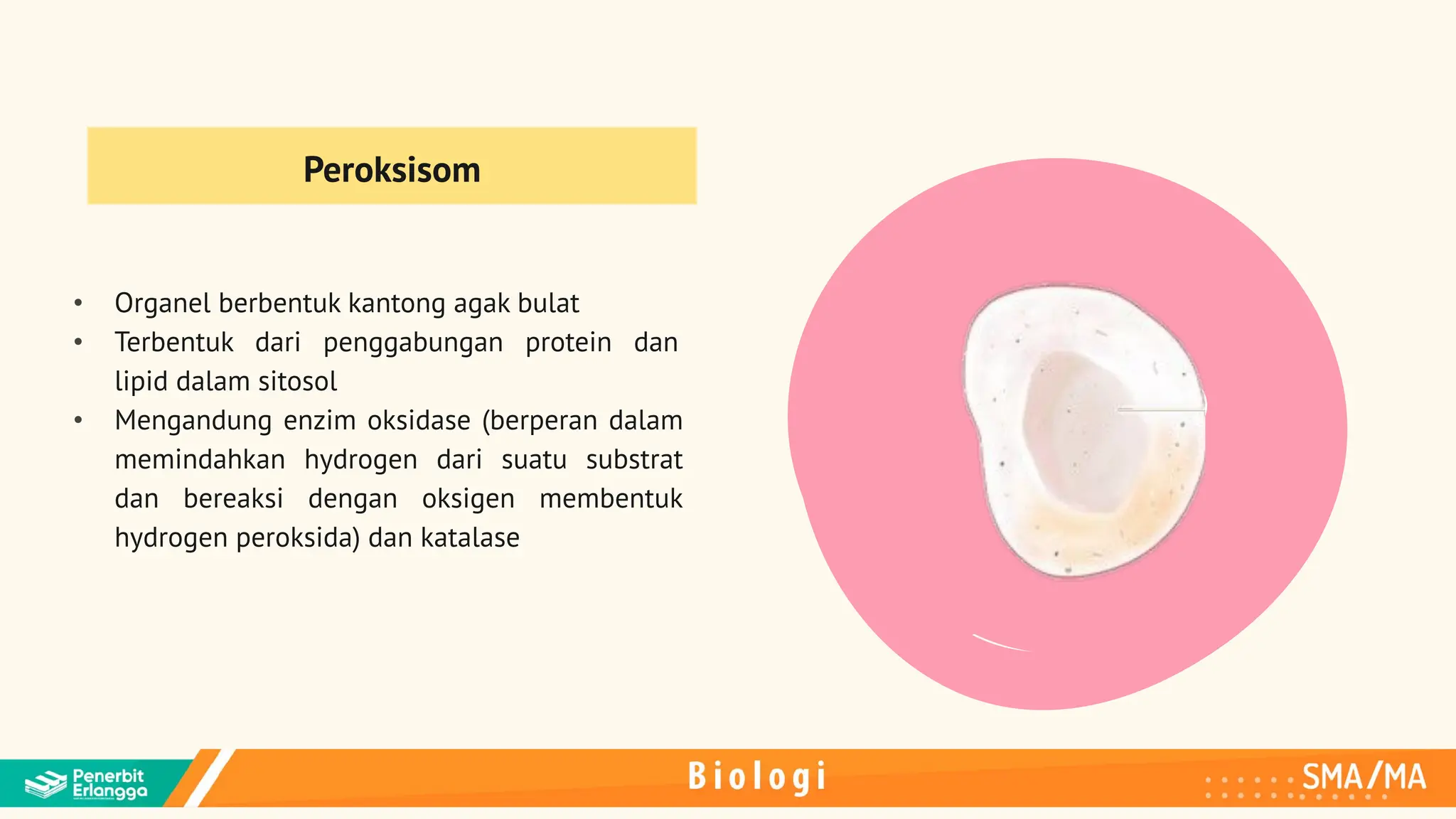 PPT Bab 1 Biologi Kelas XI Kur-Merdeka.pptx.pdf
