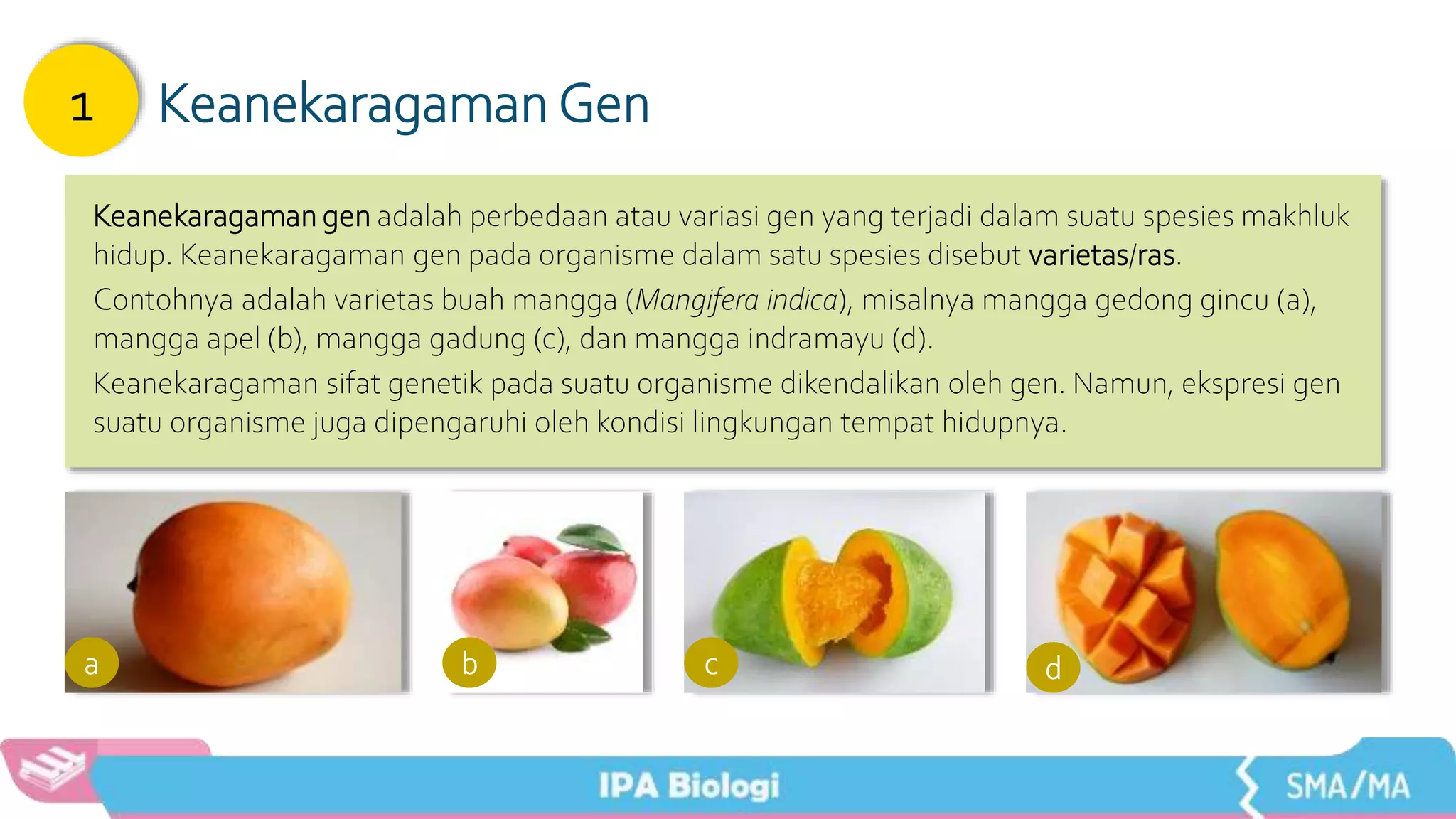 Bab 1 IPA Biologi Kelas X | PPTX