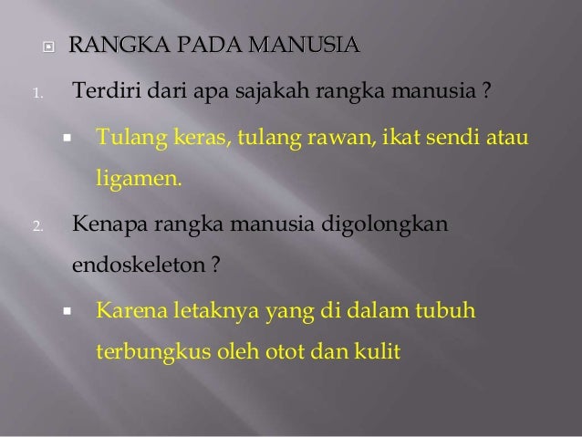 Ppt bab 1 kerangka manisia fungsi dan perawatannnya Ppt bab 1 kerangka manisia fungsi dan perawatannnya
