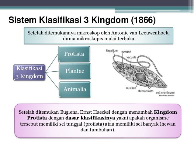 Klasifikasi Makhluk Hidup Dan Dasar Pengklasifikasian Makhluk Hidup