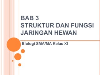 BAB 3
STRUKTUR DAN FUNGSI
JARINGAN HEWAN
Biologi SMA/MA Kelas XI
 