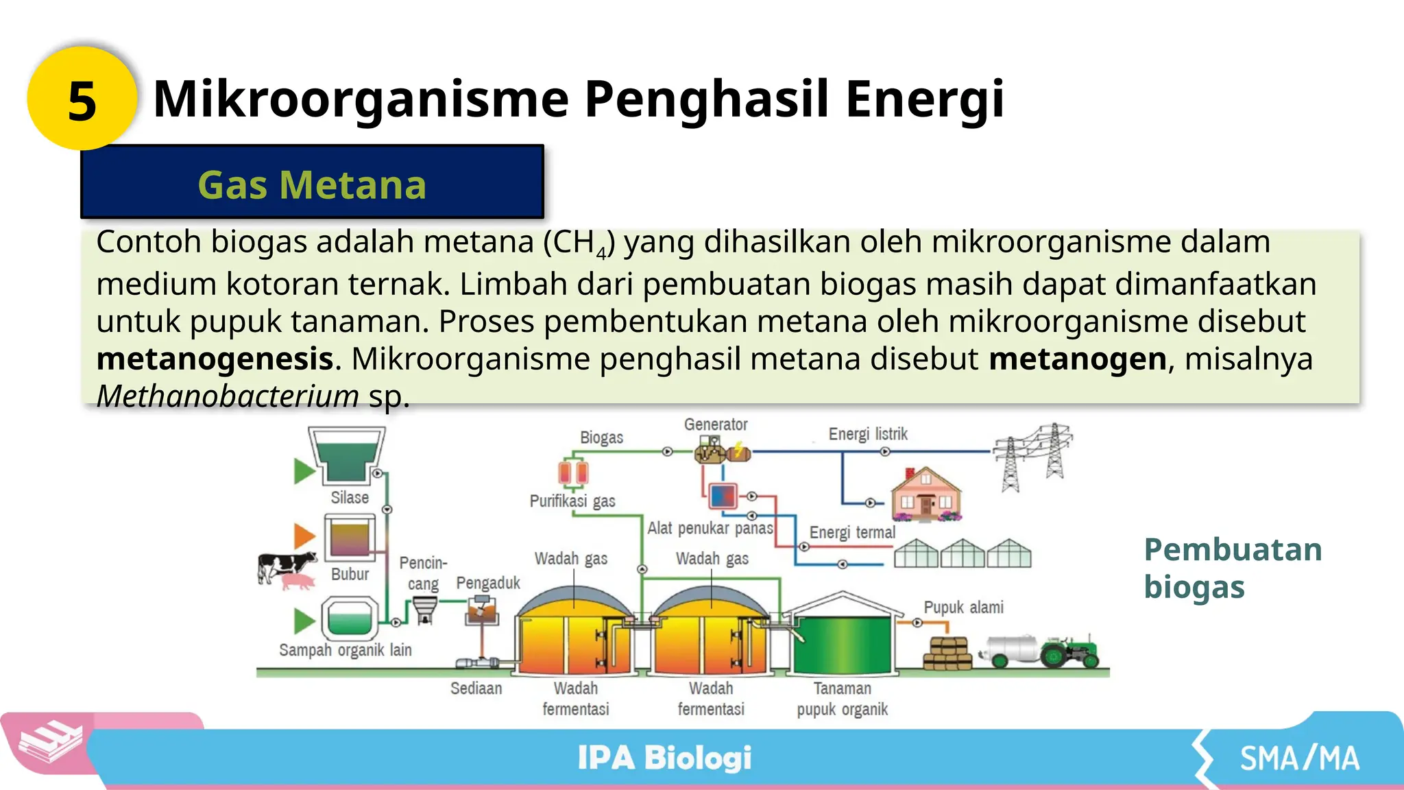 PPT Bab 3 IPA Biologi Kelas X Kur Merdeka.pptx