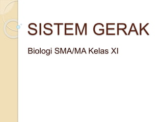 SISTEM GERAK
Biologi SMA/MA Kelas XI
 