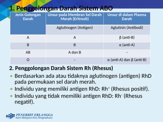 1. Penggolongan Darah Sistem ABO
Jenis Golongan
Darah
Unsur pada Membran Sel Darah
Merah (Eritrosit)
Unsur di dalam Plasma
Darah
Aglutinogen (Antigen) Aglutinin (Antibodi)
A A β (anti-B)
B B α (anti-A)
AB A dan B -
O - α (anti-A) dan β (anti-B)
 Berdasarkan ada atau tidaknya aglutinogen (antigen) RhD
pada permukaan sel darah merah.
 Individu yang memiliki antigen RhD: Rh+
(Rhesus positif).
 Individu yang tidak memiliki antigen RhD: Rh-
(Rhesus
negatif).
2. Penggolongan Darah Sistem Rh (Rhesus)
 