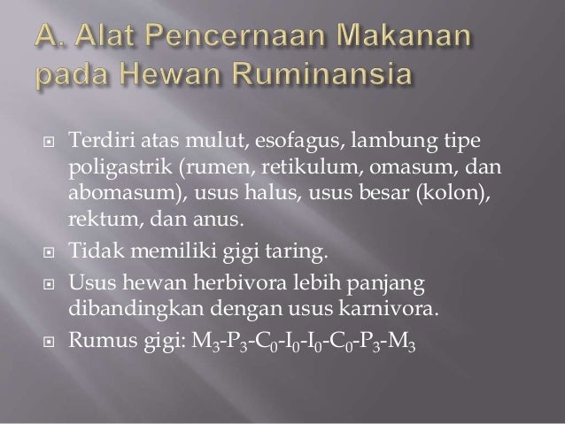 Biologi Bab 6 Kelas Xi