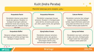 PPT Bab 7 Biologi Kelas 11 [modulguruku.com].pdf