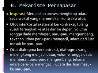 B. Mekanisme Pernapasan
1. Inspirasi, Merupakan proses menghirup udara
secara aktif yang memerlukan kontraksi otot.
 Otot interkostal eksternal berkontraksi, tulang
rusuk terangkat ke atas dan ke depan, volume
rongga dada membesar, paru-paru mengembang,
tekanan udara paru-paru mengecil, udara dari luar
masuk ke paru-paru.
 Otot diafragma berkontraksi, diafragma yang
melengkung menjadi datar, volume rongga dada
membesar, paru-paru mengembang, tekanan
udara paru-paru mengecil, udara dari luar masuk
ke paru-paru.
 