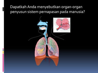 Dapatkah Anda menyebutkan organ-organ
penyusun sistem pernapasan pada manusia?
 