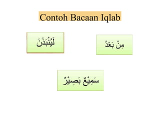 Contoh Bacaan Iqlab
 