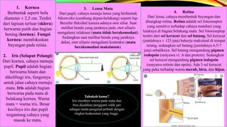 Upil Besar CAHAYA DAN ALAT OPTIK | PPTX