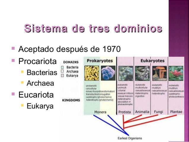 Ppt bacterias 5