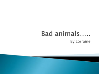 Bad animals….. By Lorraine 