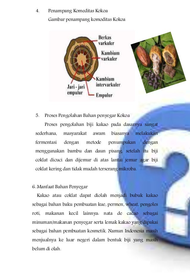 Ppt bahan penyegar