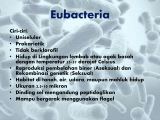Eubacteria
Ciri-ciri:
• Uniseluler
• Prokariotik
• Tidak berklorofil
• Hidup di Lingkungan lembab atau agak basah
dengan temperatur 25-37 derajat Celsius
• Reproduksi pembelahan biner (Aseksual) dan
Rekombinasi genetik (Seksual)
• Habitat di tanah, air, udara, maupun mahluk hidup
• Ukuran 2,5-10 mikron
• Dinding sel mengandung peptidoglikan
• Mampu bergerak menggunakan flagel
 