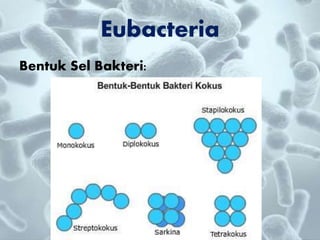 Bentuk Sel Bakteri:
Eubacteria
 