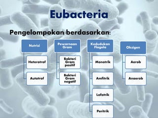 Pengelompokan berdasarkan:
Eubacteria
Nutrisi
Heterotrof
Autotrof
Pewarnaan
Gram
Bakteri
Gram
positif
Bakteri
Gram
negatif
Kedudukan
Flagela
Monotrik
Amfitrik
Lofotrik
Peritrik
Oksigen
Aerob
Anaerob
 