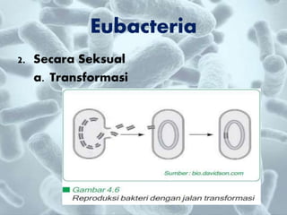 2. Secara Seksual
a. Transformasi
Eubacteria
 
