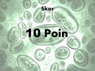 Skor
10 Poin
 