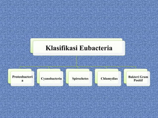 Klasifikasi Eubacteria
Proteobacteri
a
Cyanobacteria Spirochetes Chlamydias
Bakteri Gram
Positif
 