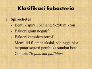 3. Spirochetes
- Bentuk spiral, panjang 5-250 mikron
- Bakteri gram negatif
- Bakteri kemoheterotrof
- Memiliki filamen aksial, sehingga bisa
berputar seperti pembuka sumbat botol
- Contoh: Treponema pallidum
Klasifikasi Eubacteria
 