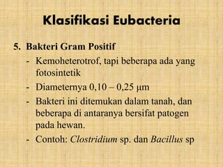 5. Bakteri Gram Positif
- Kemoheterotrof, tapi beberapa ada yang
fotosintetik
- Diameternya 0,10 – 0,25 μm
- Bakteri ini ditemukan dalam tanah, dan
beberapa di antaranya bersifat patogen
pada hewan.
- Contoh: Clostridium sp. dan Bacillus sp
Klasifikasi Eubacteria
 