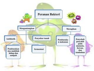 Peranan Bakteri
Menguntungkan
Antibiotik
Pembusukan
sisa makhluk
hidup dan
sampah
fermentasi
Penyubur tanah
Merugikan
Pembusuka
n makanan
Penyebab
penyakit
pada
manusia,
hewan,
dan
tumbuhan
 