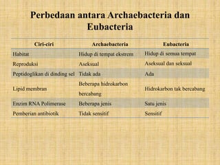 Perbedaan antara Archaebacteria dan
Eubacteria
Ciri-ciri Archaebacteria Eubacteria
Habitat Hidup di tempat ekstrem Hidup di semua tempat
Reproduksi Aseksual Aseksual dan seksual
Peptidoglikan di dinding sel Tidak ada Ada
Lipid membran
Beberapa hidrokarbon
bercabang
Hidrokarbon tak bercabang
Enzim RNA Polimerase Beberapa jenis Satu jenis
Pemberian antibiotik Tidak sensitif Sensitif
 