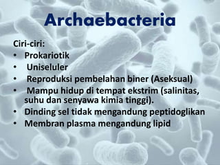Archaebacteria
Ciri-ciri:
• Prokariotik
• Uniseluler
• Reproduksi pembelahan biner (Aseksual)
• Mampu hidup di tempat ekstrim (salinitas,
suhu dan senyawa kimia tinggi).
• Dinding sel tidak mengandung peptidoglikan
• Membran plasma mengandung lipid
 