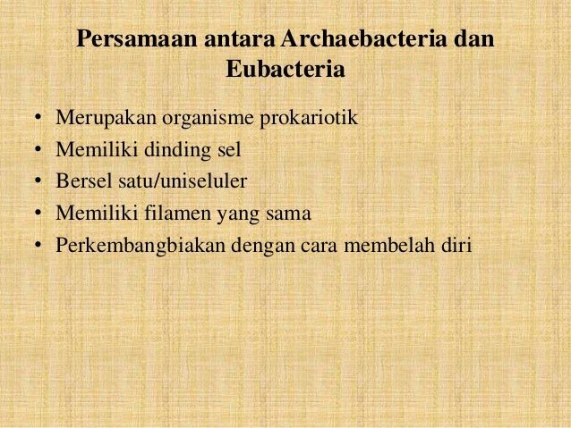 SMA Kelas X - Bakteri