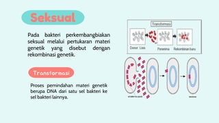 Comprehensive Overview of Bacterial Reproduction and Growth Processes | PDF