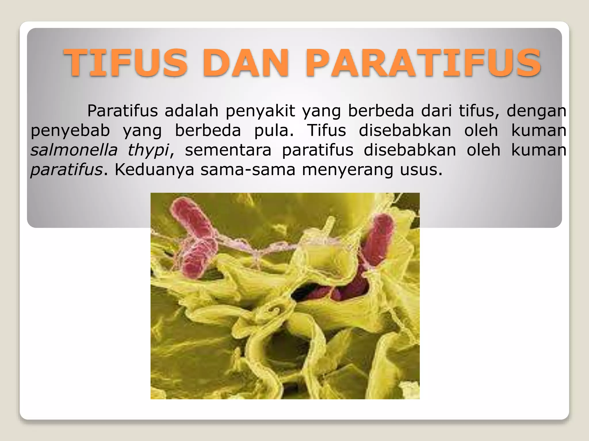 PPT_Bakteri_Penyebab_Penyakit.pptx