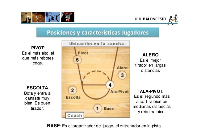 Resultado de imagen para posiciones de los jugadores en basquetbol