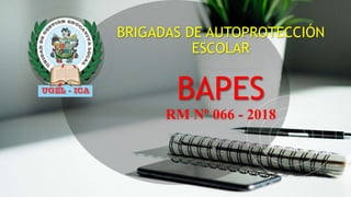 BRIGADAS DE AUTOPROTECCIÓN
ESCOLAR
BAPES
RM Nº 066 - 2018
 