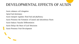 DEVELOPMENTAL EFFECTS OF AUXIN
Auxin enhances cell elongation
Apical bud dominance
Auxin transport regulates floral bud and phyllotaxy
Auxin Promotes the Formation of Lateral and Adventitious Roots
Auxin Induces Vascular Differentiation
Auxin Delays the Onset of Leaf Abscission
Auxin Promotes Fruit Development
 